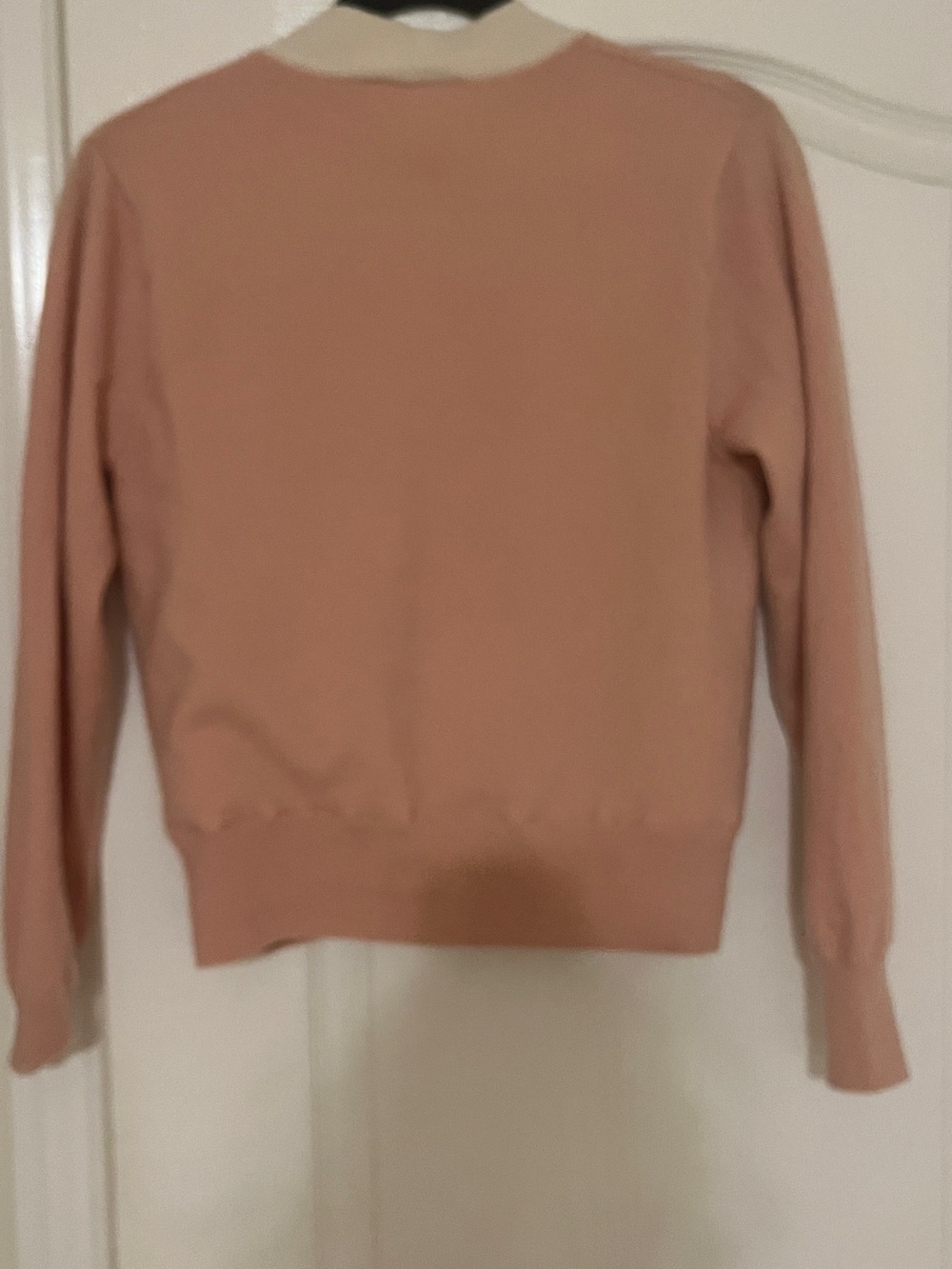 Sandro Pale Pink Sweater with Light Blue Star & Rope Print